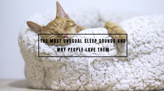 The Most Unusual Sleep Sounds and Why People Love Them